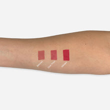 Load image into Gallery viewer, Pink Pout Velvet Lip Trio
